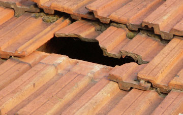 roof repair Lymore, Hampshire